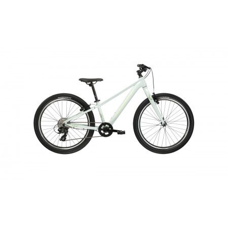 Kross Lea JR 1.0 D 24  серый/зеленый