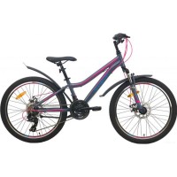 AIST Rosy Junior 2.1 24" Серый