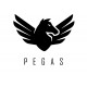 Детский велосипед Alpinebike Pegas 3-20