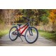 Детский велосипед Alpinebike Pegas 3-20
