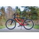 Детский велосипед Alpinebike Pegas 3-20