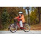 Детский велосипед Alpinebike Pegas 3-20