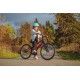 Детский велосипед Alpinebike Pegas 3-20