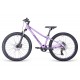 Aspect ANGEL 24 Фиолетовый