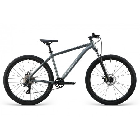 Aspect RADIUM 27.5 Серый
