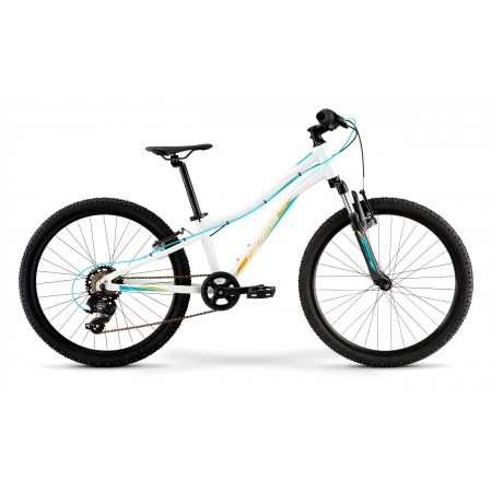 Merida Matts J24 Eco GlossyWhite/TealGold