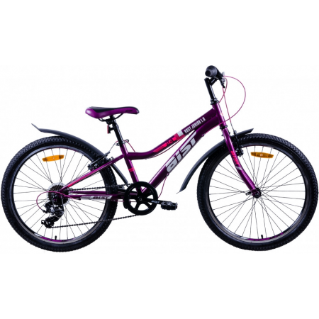 AIST Rosy Junior 1.0 24" Фиолетовый