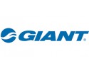 Giant