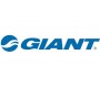 Giant