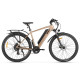 Электровелосипед Eltreco Ultra MAX GT темно золотой глянец-3169
