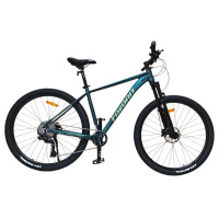 Велосипед Favorit Ranger 29HDA RNG29HD19SE-AL