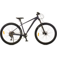 Велосипед Favorit Ranger 29HDA RNG29HD17GR-AL