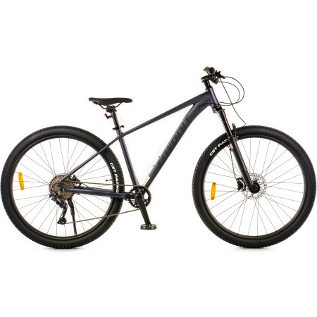 Велосипед Favorit Ranger 29HDA RNG29HD17GR-AL