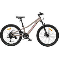 Велосипед Timetry TT803 26 бронзовый