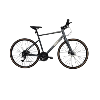 Aist Disco 28" Графитовый