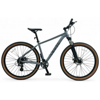 Level Phantom 1.0 29 Gray