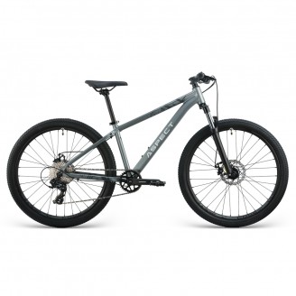 Aspect Radium 26 серый