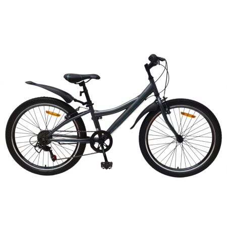 Favorit Discovery 24 серый