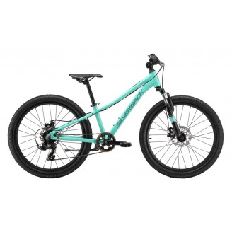 SILVERBACK Spyke G MYSTIC TEAL 24''