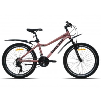 Racer Vega 24 бронзовый матовый