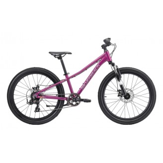 SILVERBACK Spyke G GLOSS MULBERRY PURPLE/GLOSS SILVER 24''