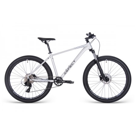 Aspect Nickel 27.5 Серый