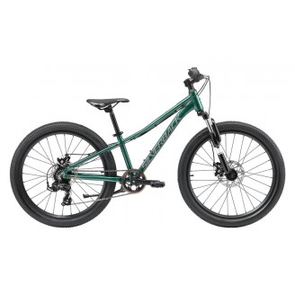 SILVERBACK Spyke B EMERALD GREEN 24''