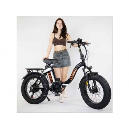 Электровелосипед FAVORIT AVALANCHE-20