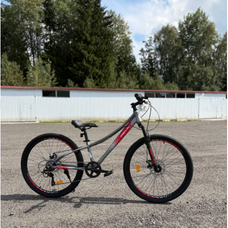 Greenland Cruise 24 серый-красный