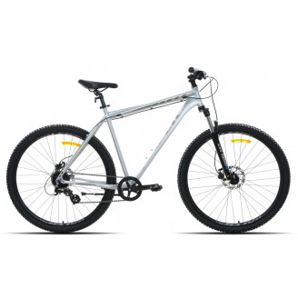 Racer Expert 29 серебристый глянец