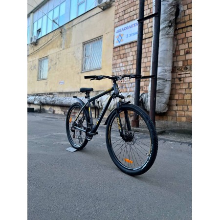 Reborn Rager 29" Серо-золотой