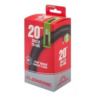 Камера CHAOYANG 20x3.00" AV33