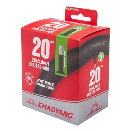 Камера CHAOYANG 20x4.00/4.90" AV33