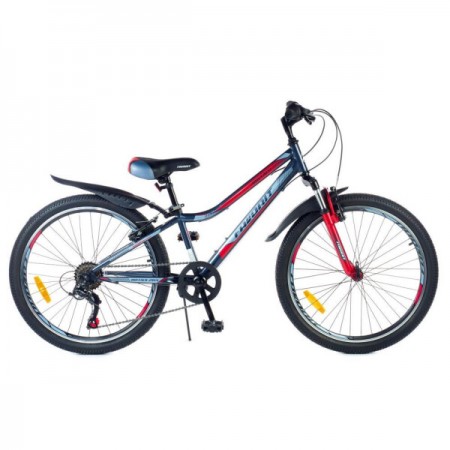 Favorit BUFFALO 24 24MDS Серый/красный