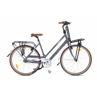 Aist Oslo 28" Серый